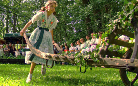 Froschkarren &copy;Peter Becker