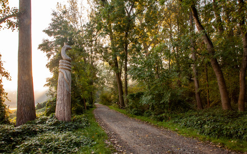 Schlangenk&ouml;nig im Spreewald &copy;Peter Becker