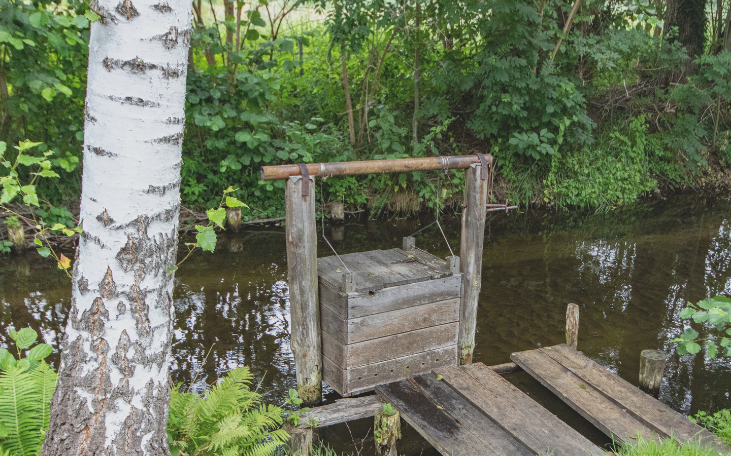 Fischkasten