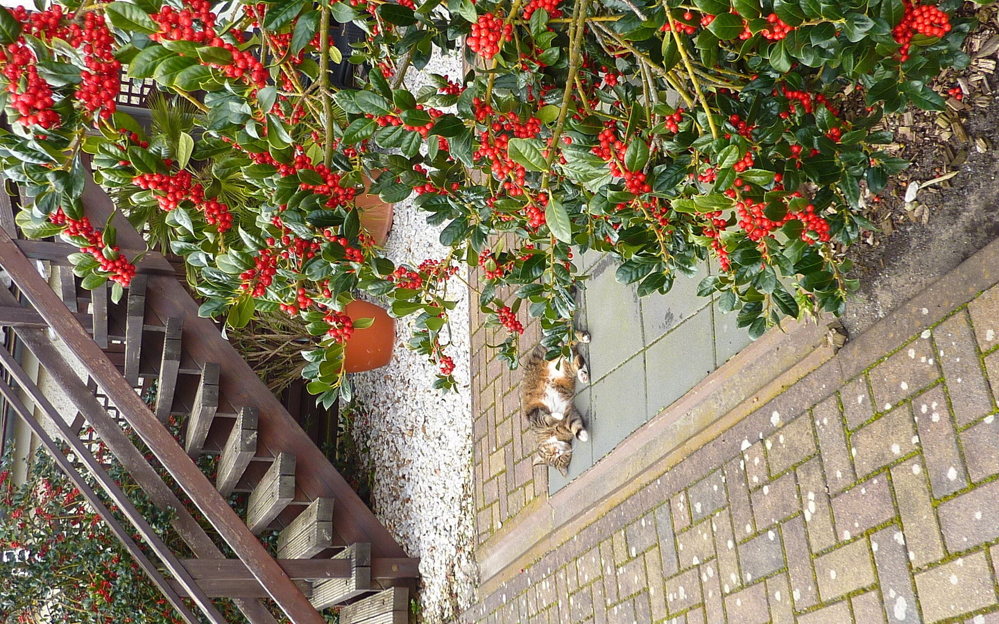 Treppenaufgang FeWo Edith