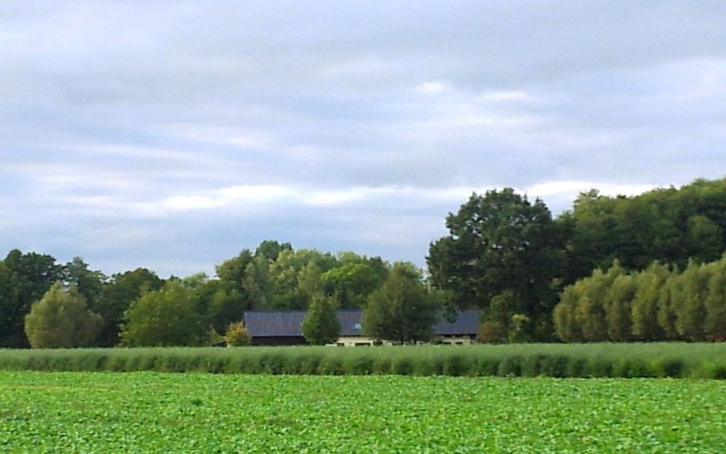Ansicht Pension in Spreewaldlandschaft