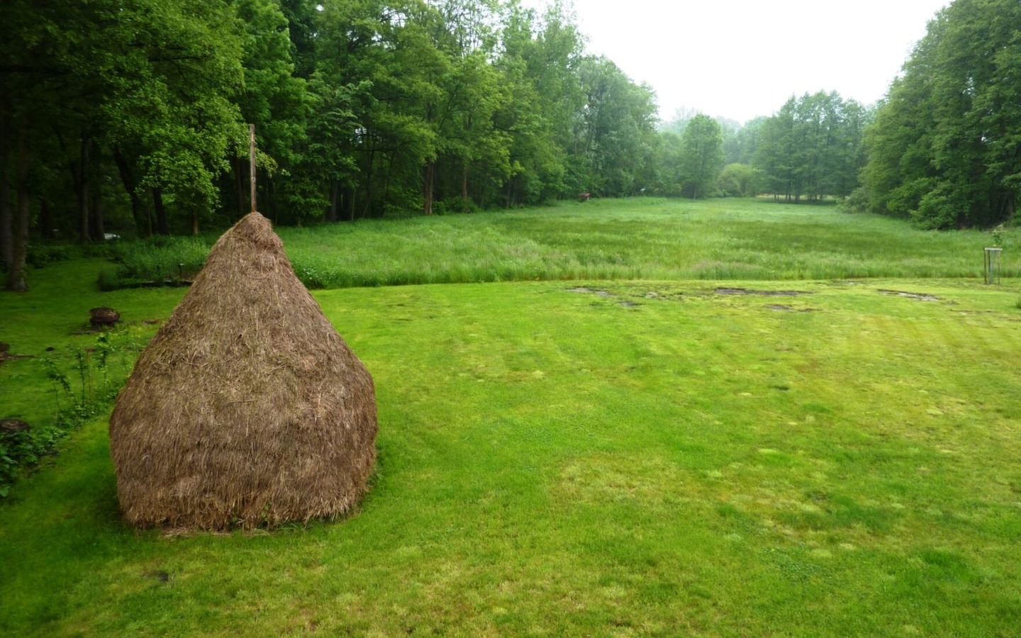 Wiese an der Pension