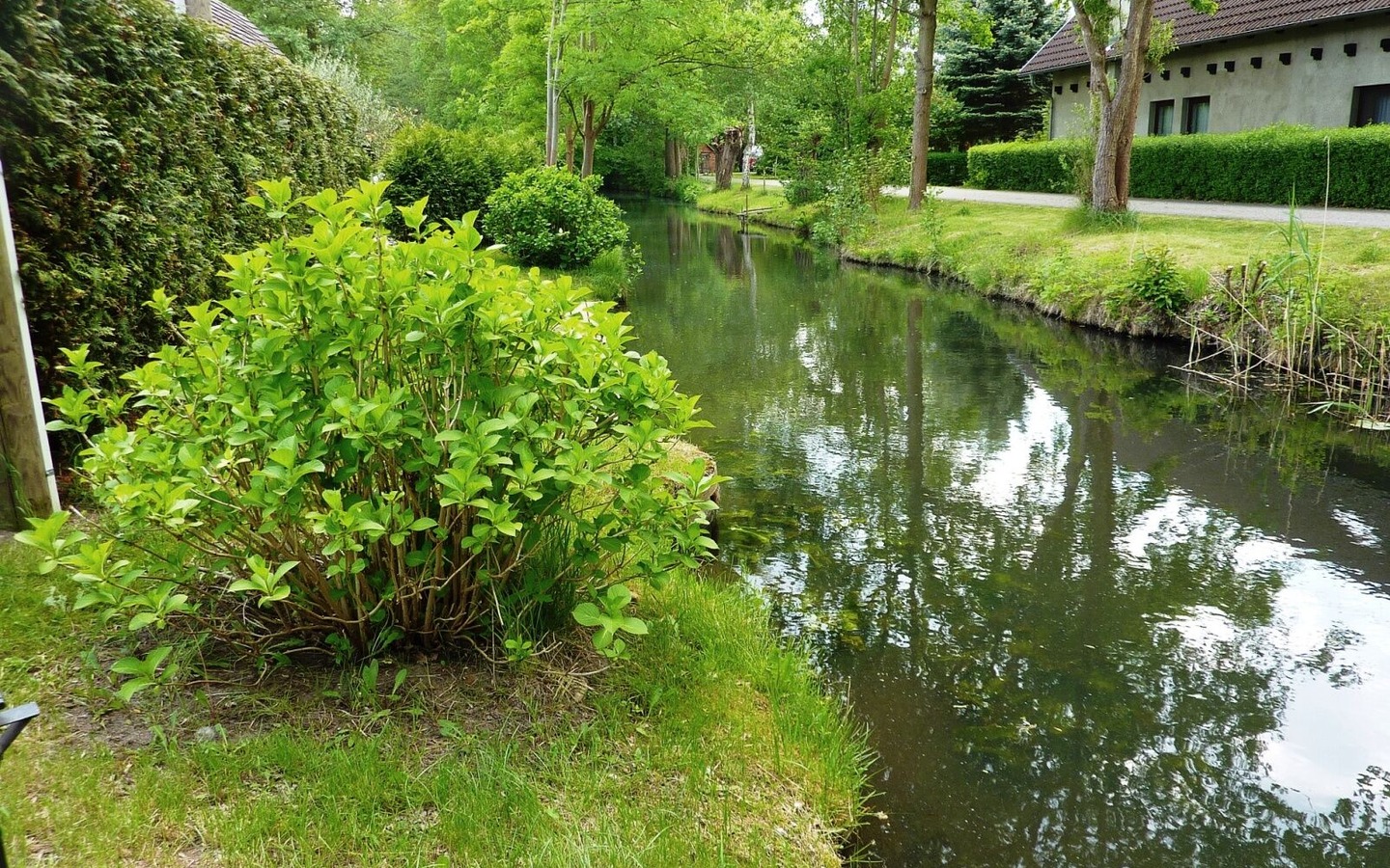 Am kleinen Scheidungsflie&szlig;