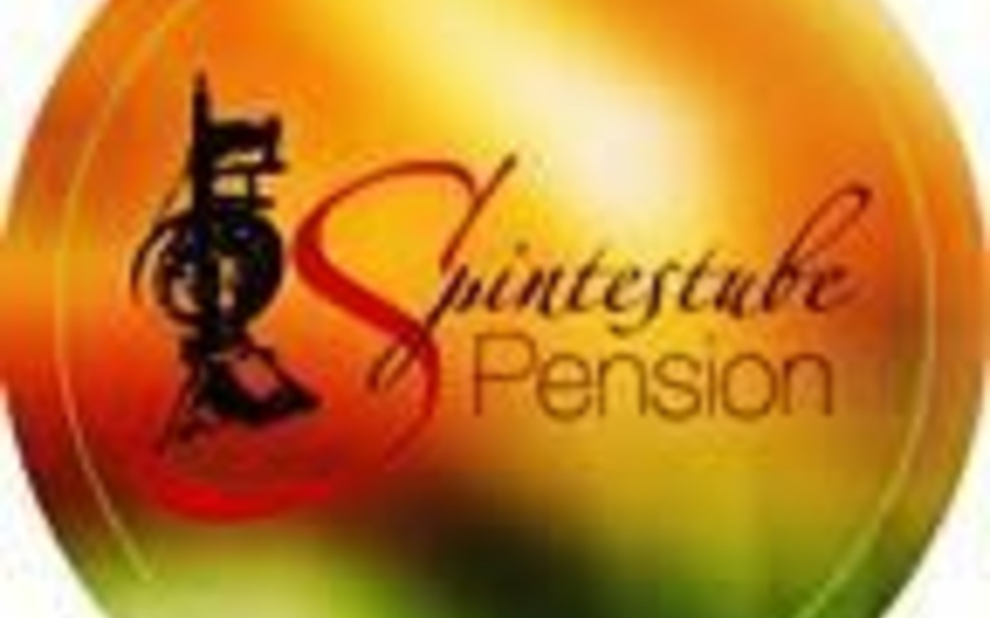 Pension Spintestube