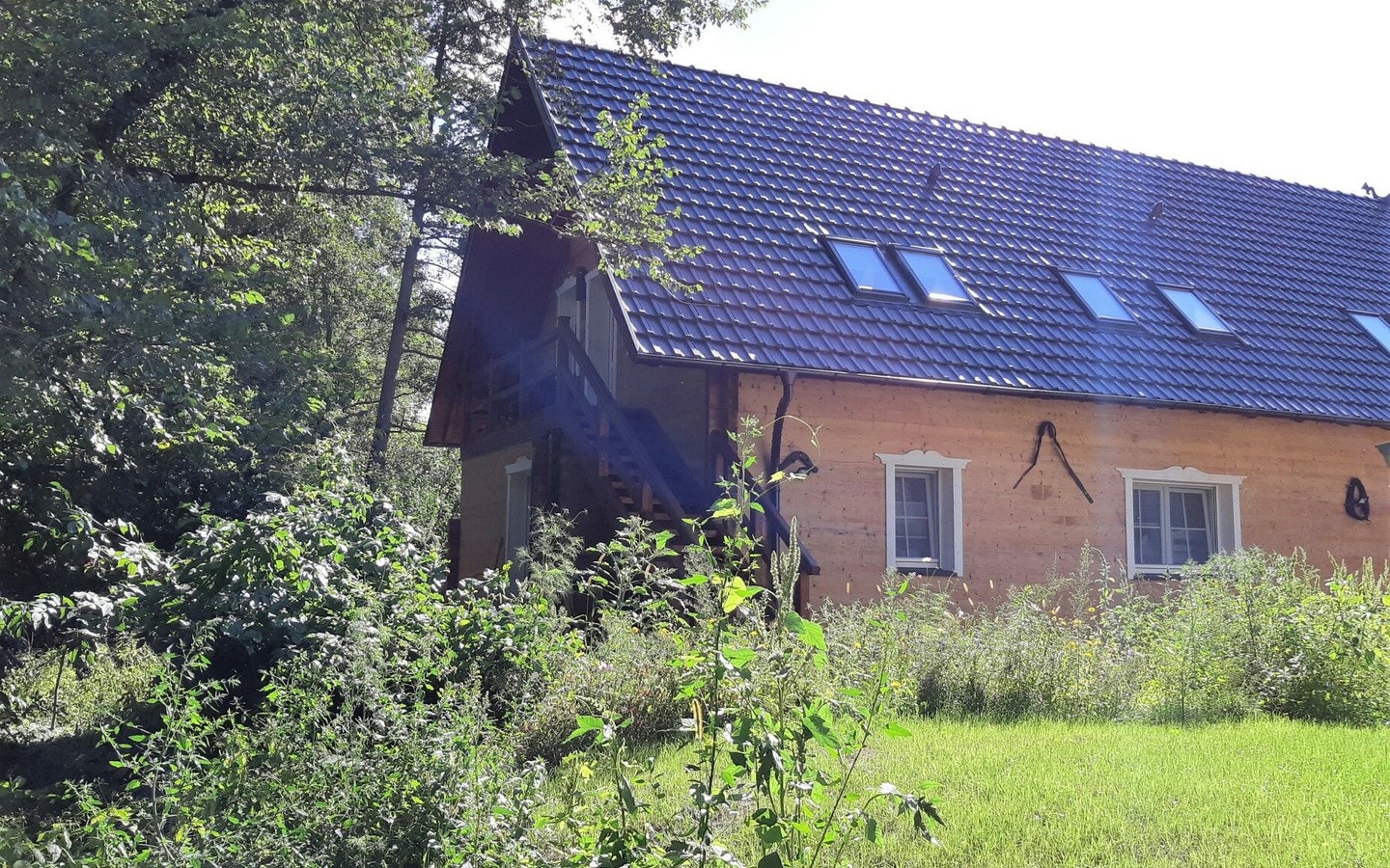 Treppenaufgang Morgentau