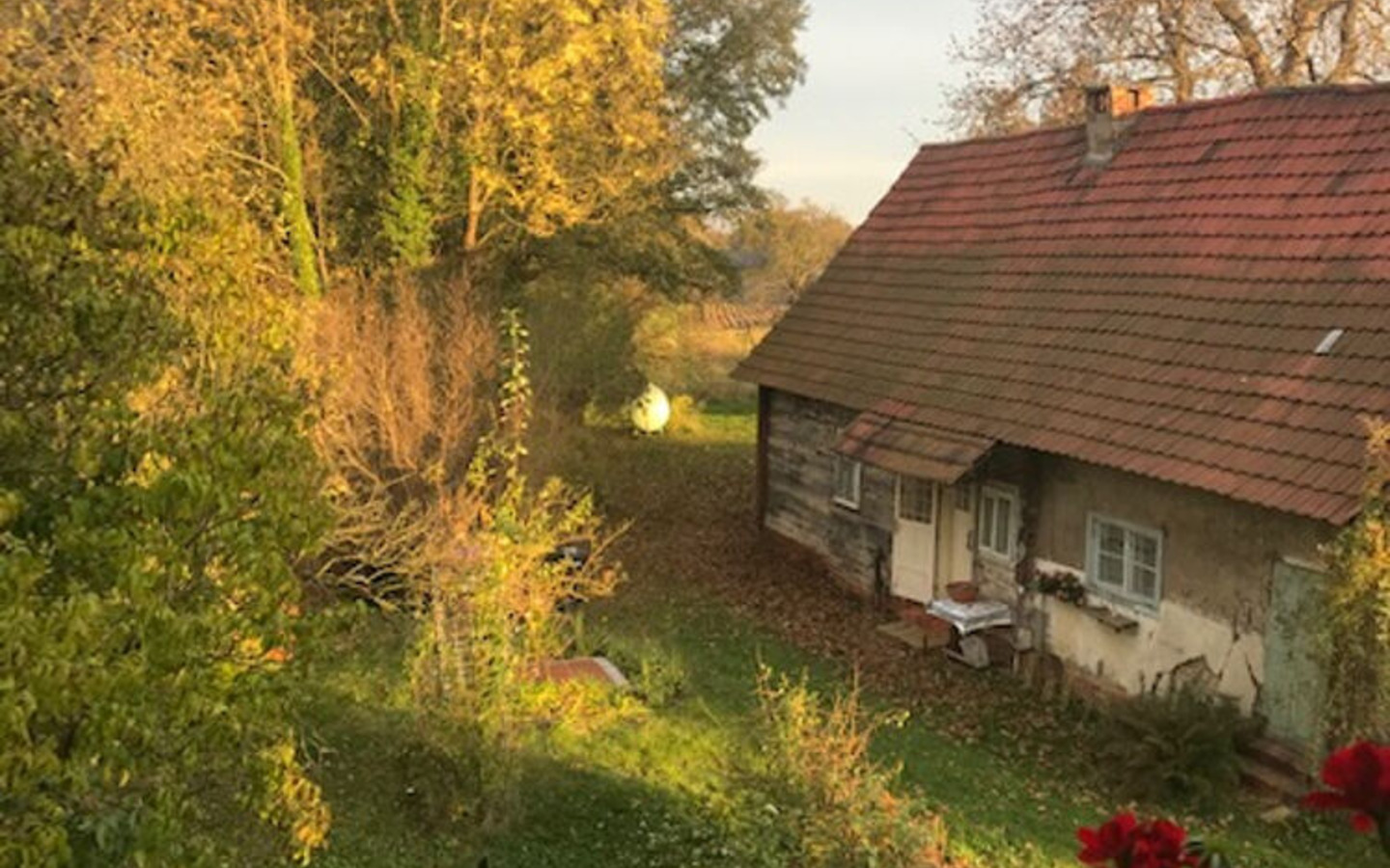 Altes Spreewaldhaus auf dem Grundst&uuml;ck