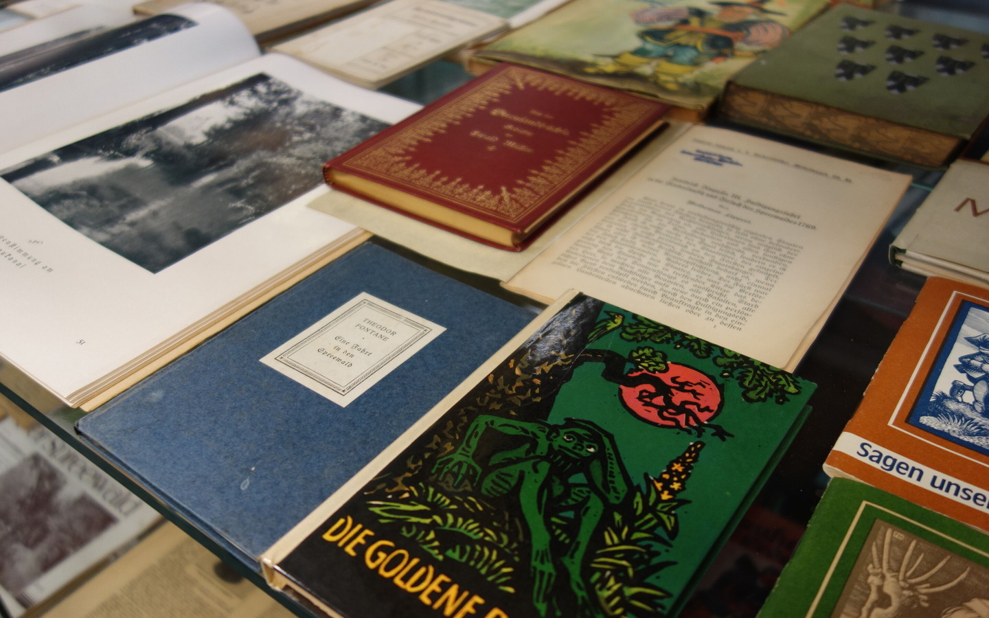 Spreewaldbibliothek &bdquo;Mina Witkojc&ldquo;, Foto: Kerstin M&ouml;bes, Lizenz: Kerstin M&ouml;bes