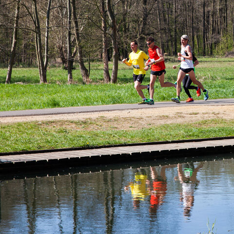 L&auml;ufer beim Marathon