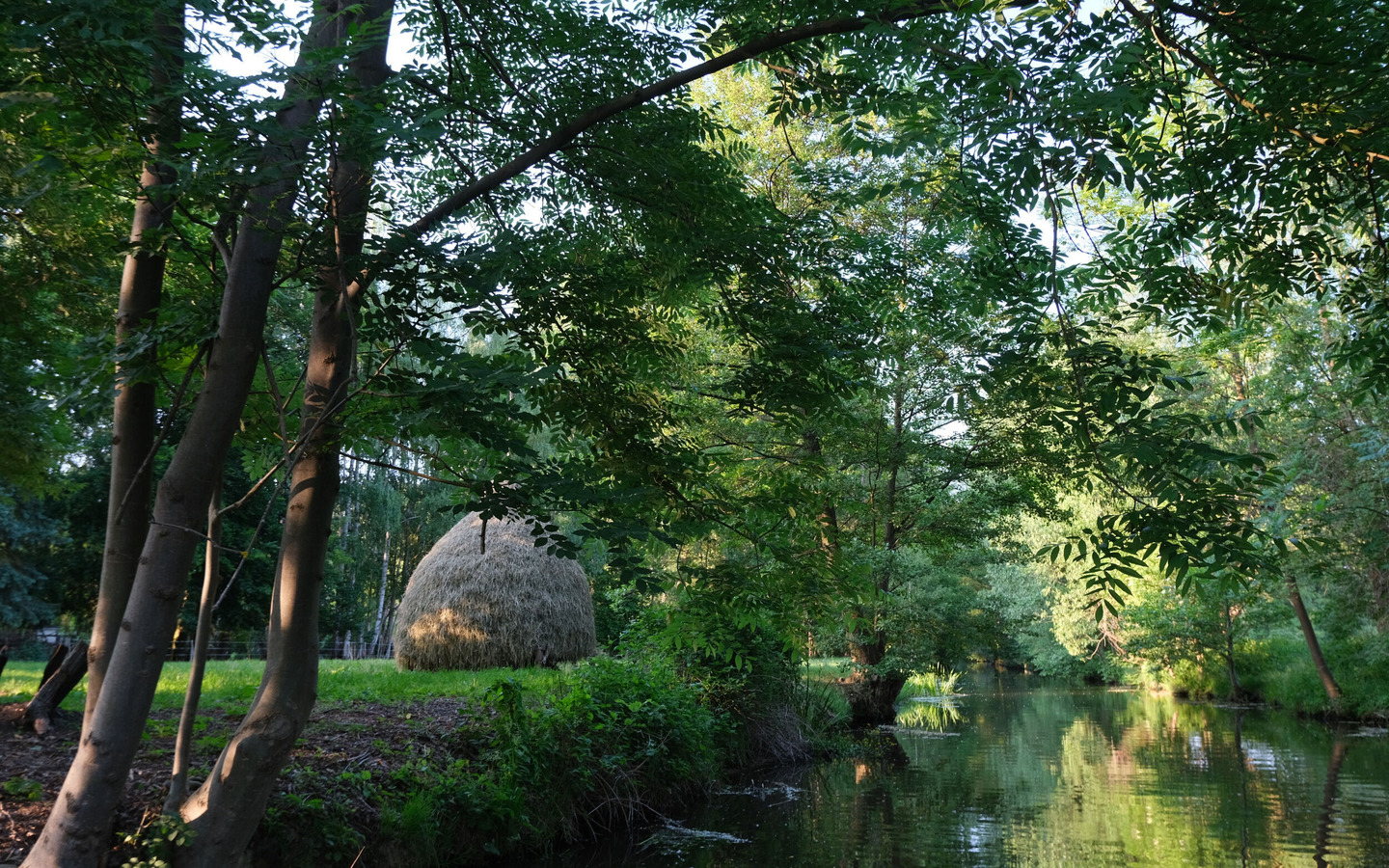 Spreewaldimpressionen