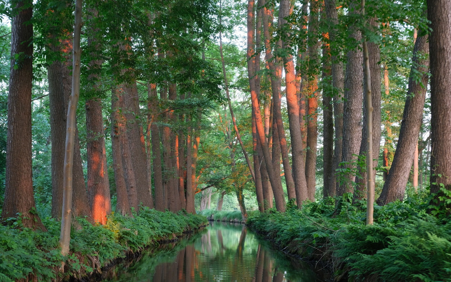 Spreewaldimpressionen