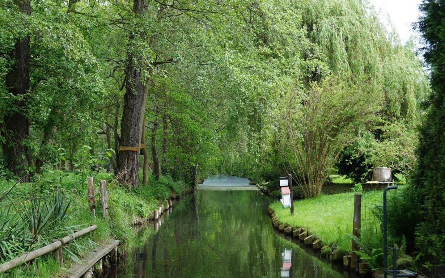 Unber&uuml;hrte Natur, Foto: Kleiner Spreewaldhafen, Lizenz: Kleiner Spreewaldhafen