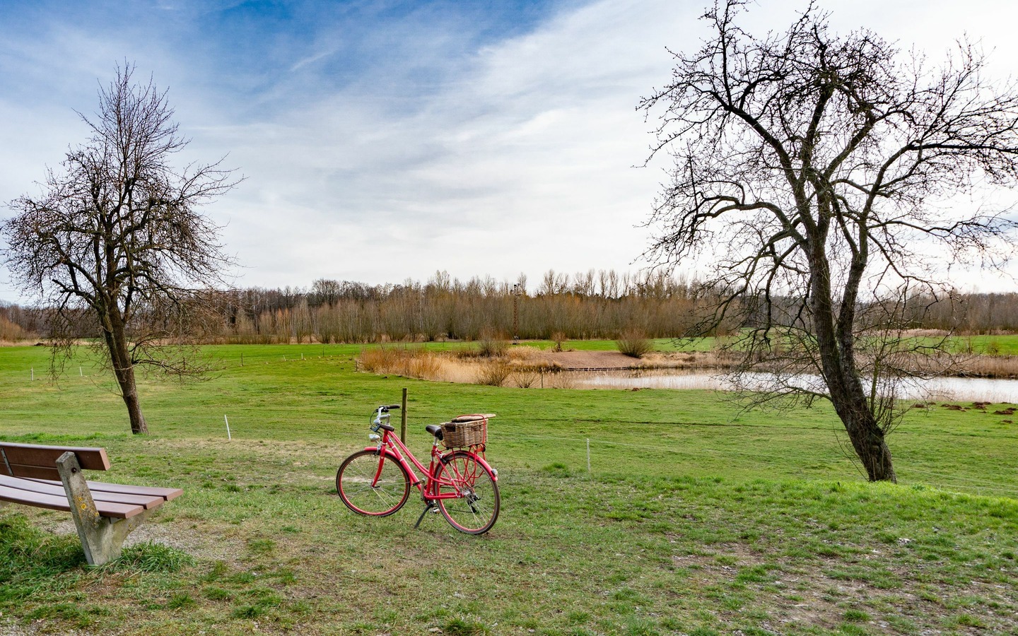 Spreeaue bei Dissen, Foto: Peter Becker, Lizenz: Amt Burg (Spreewald)