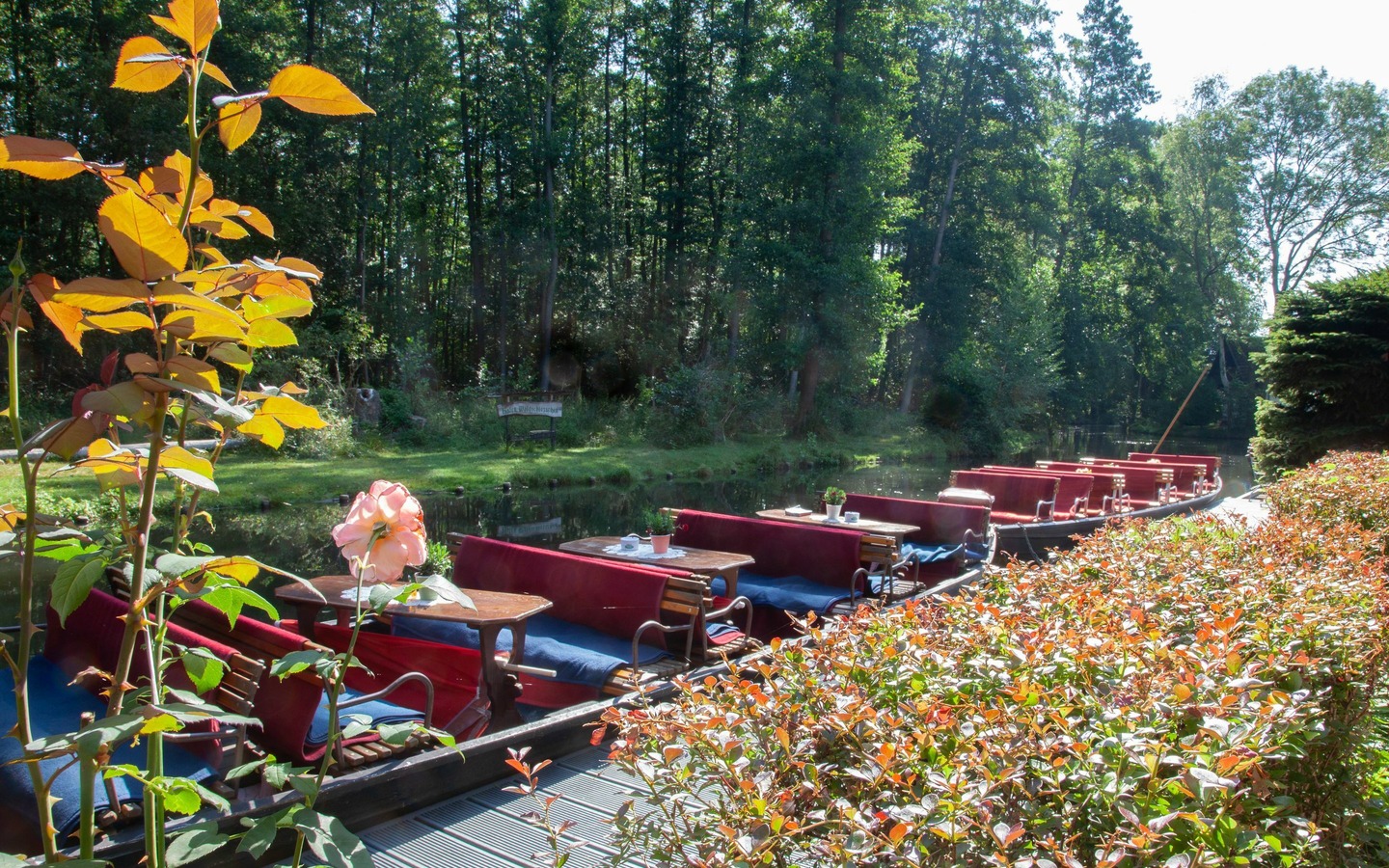 Kahnfahrten im Herbst, Foto: Peter Becker, Lizenz: Amt Burg (Spreewald)