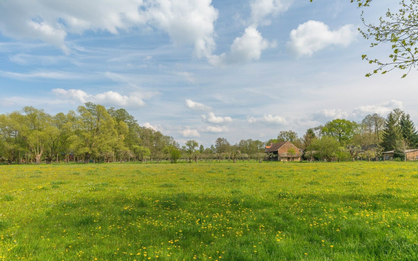 Landschaft bei Burg im Spreewald, Foto: Steffen Lehmann, Lizenz: TMB-Fotoarchiv