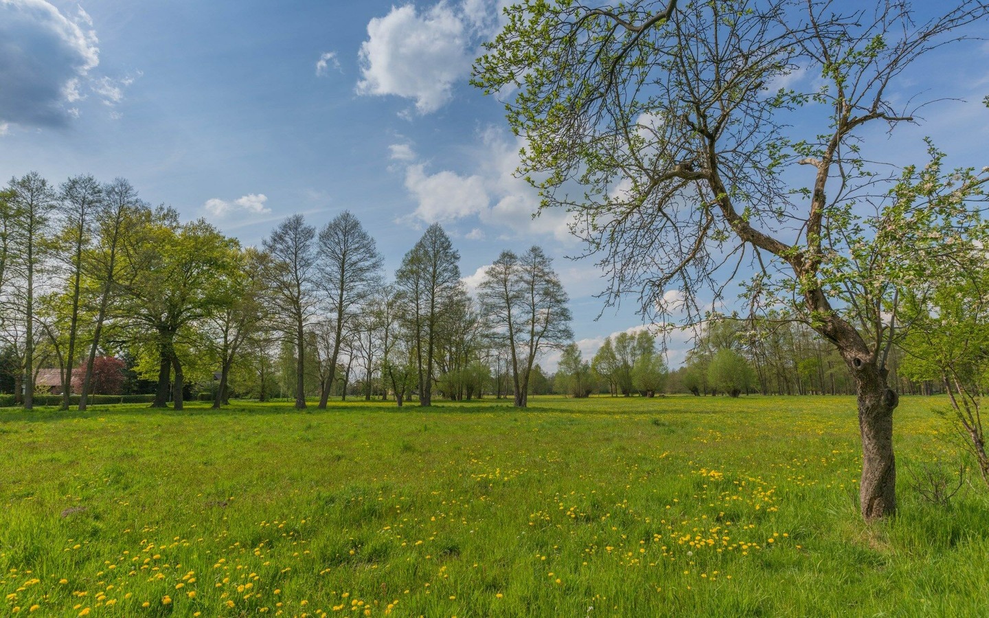 Landschaft bei Burg im Spreewald, Foto: Steffen Lehmann, Lizenz: TMB GmbH