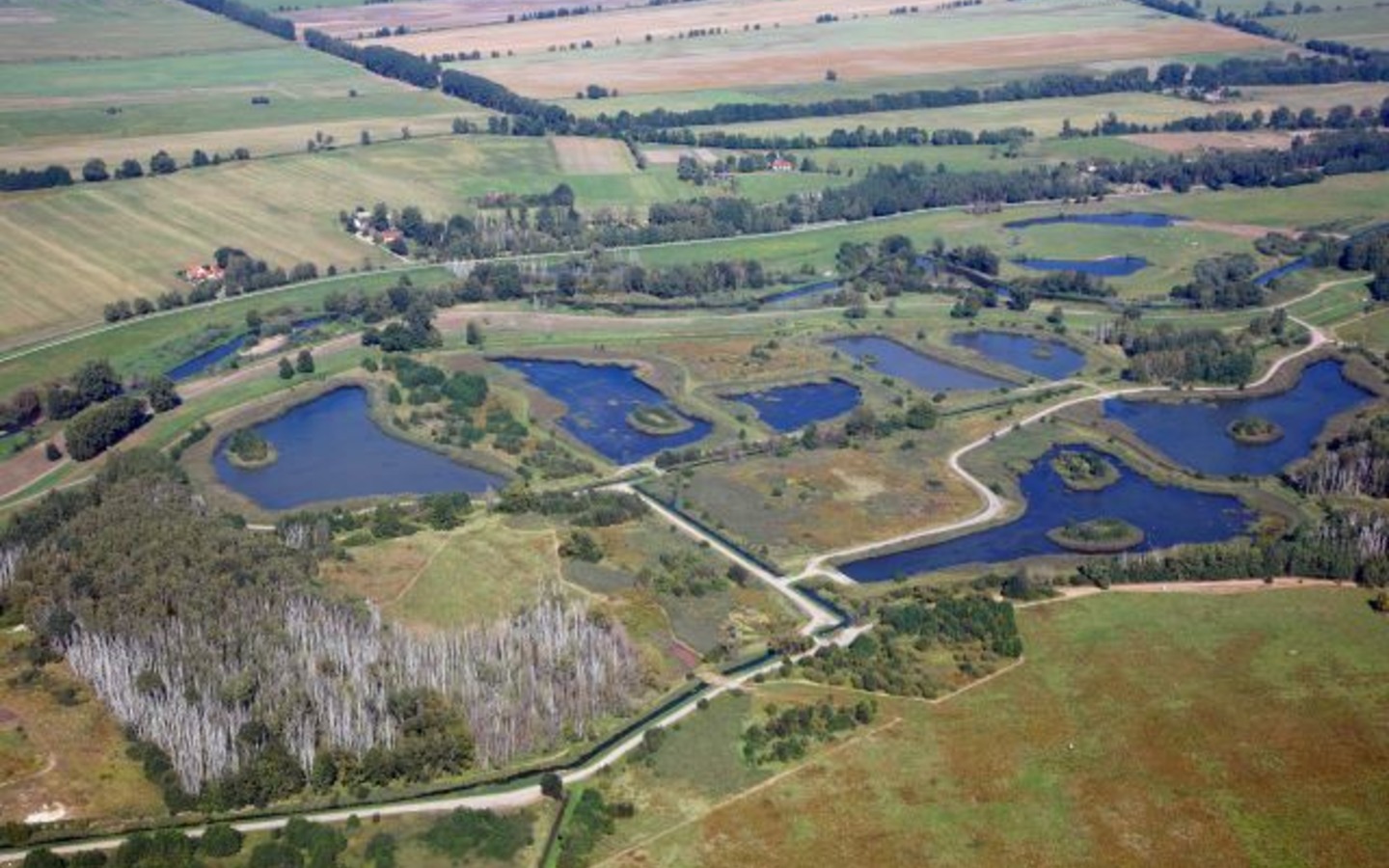 Teiche Spreeaue, Foto: Albrecht Hanke, Lizenz: Amt Burg (Spreewald)