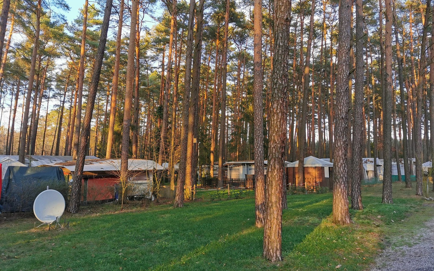 Camping im Wald, Foto: ReFanCard, Lizenz: Waldcamping Am Gro&szlig;see