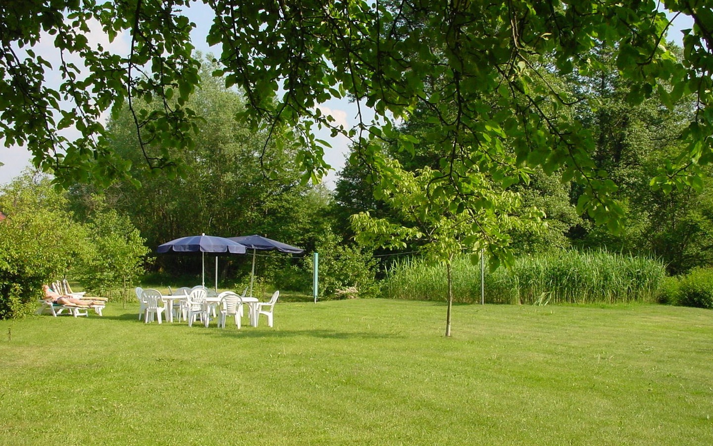 Pension Spreeaue in Burg (Spreewald) - Liegewiese, Foto: Pension Spreeaue, Lizenz: Amt Burg (Spreewald)