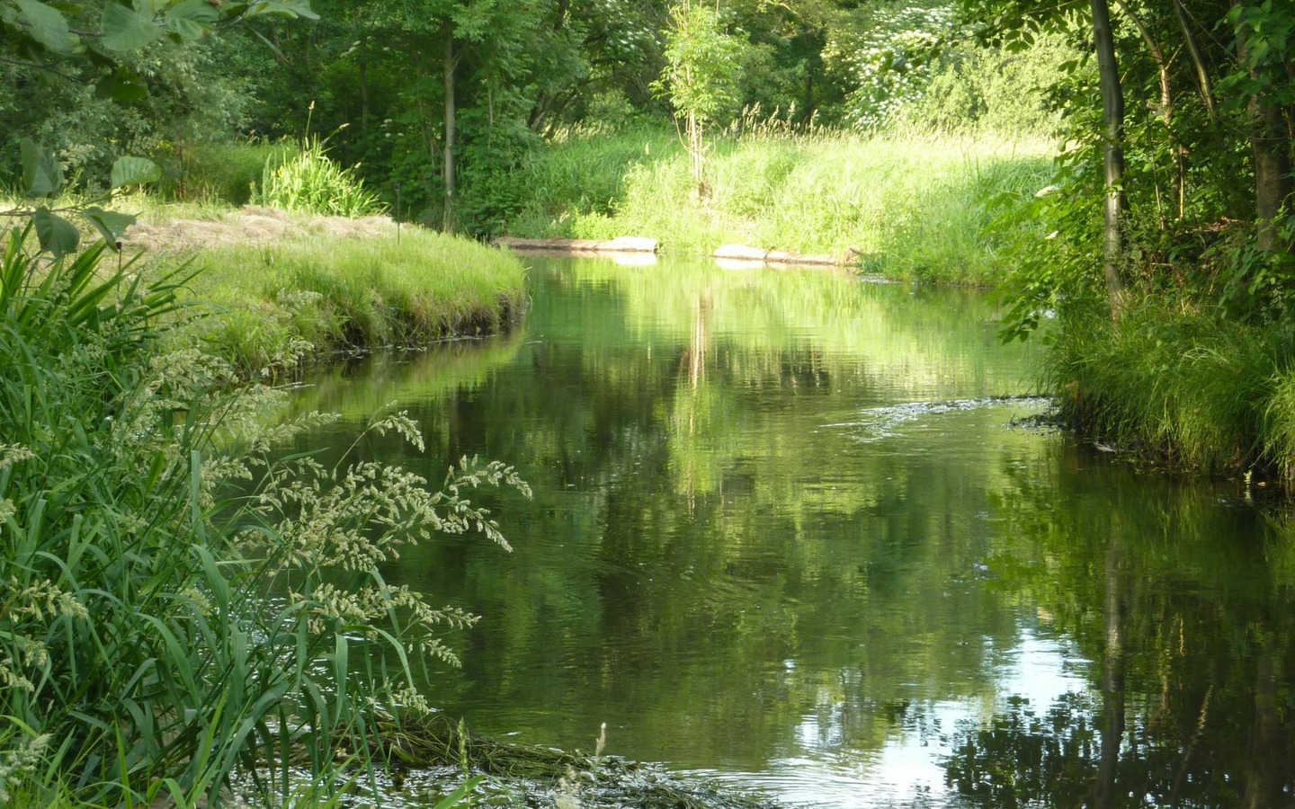 Pension Spreeaue in Burg (Spreewald) - direkt am Wasser gelegen, Foto: Pension Spreeaue, Lizenz: Amt Burg (Spreewald)