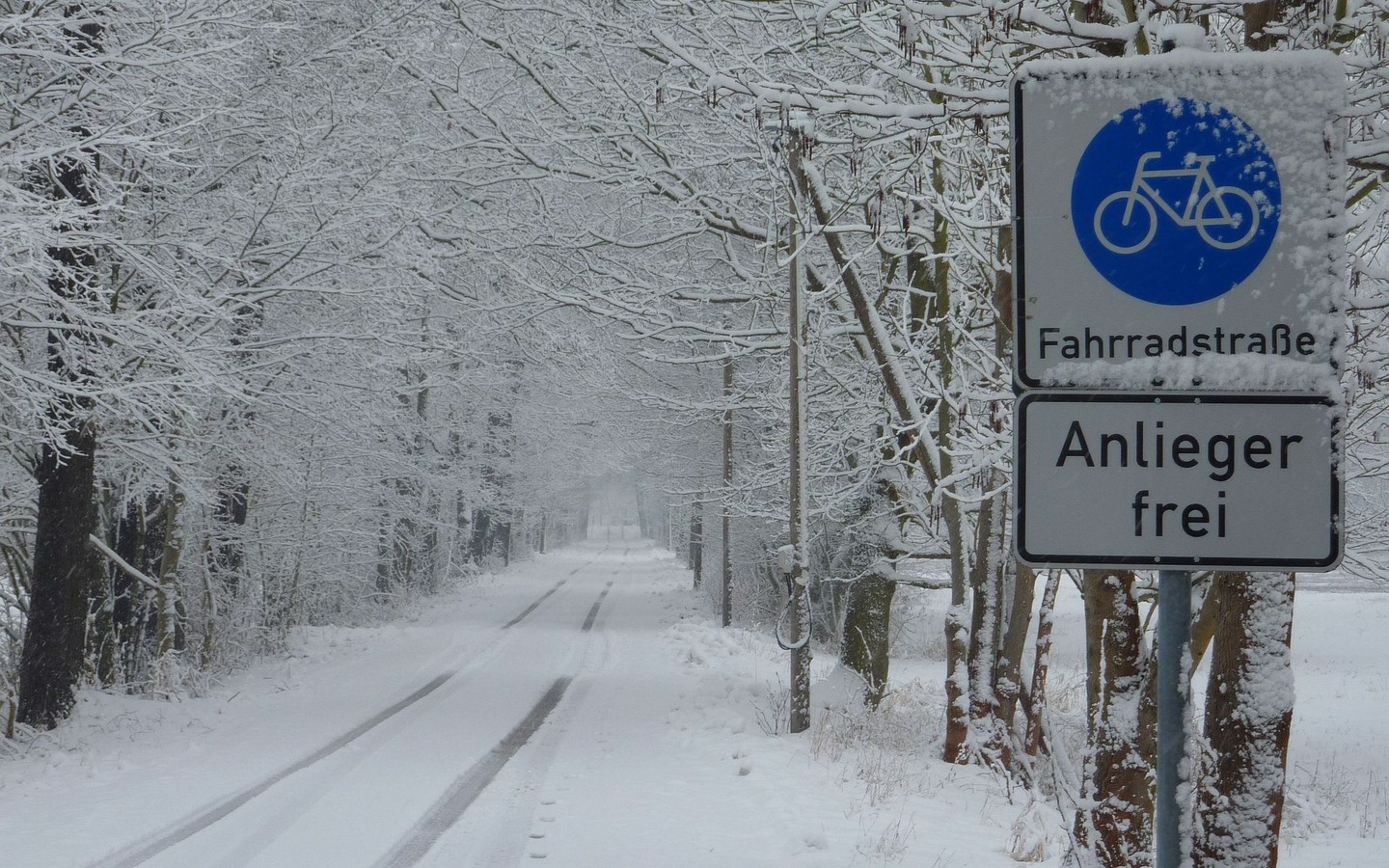 Radweg Wanderwege an der Spreewald Pension Spreeaue, Foto: Pension Spreeaue, Lizenz: Amt Burg (Spreewald)