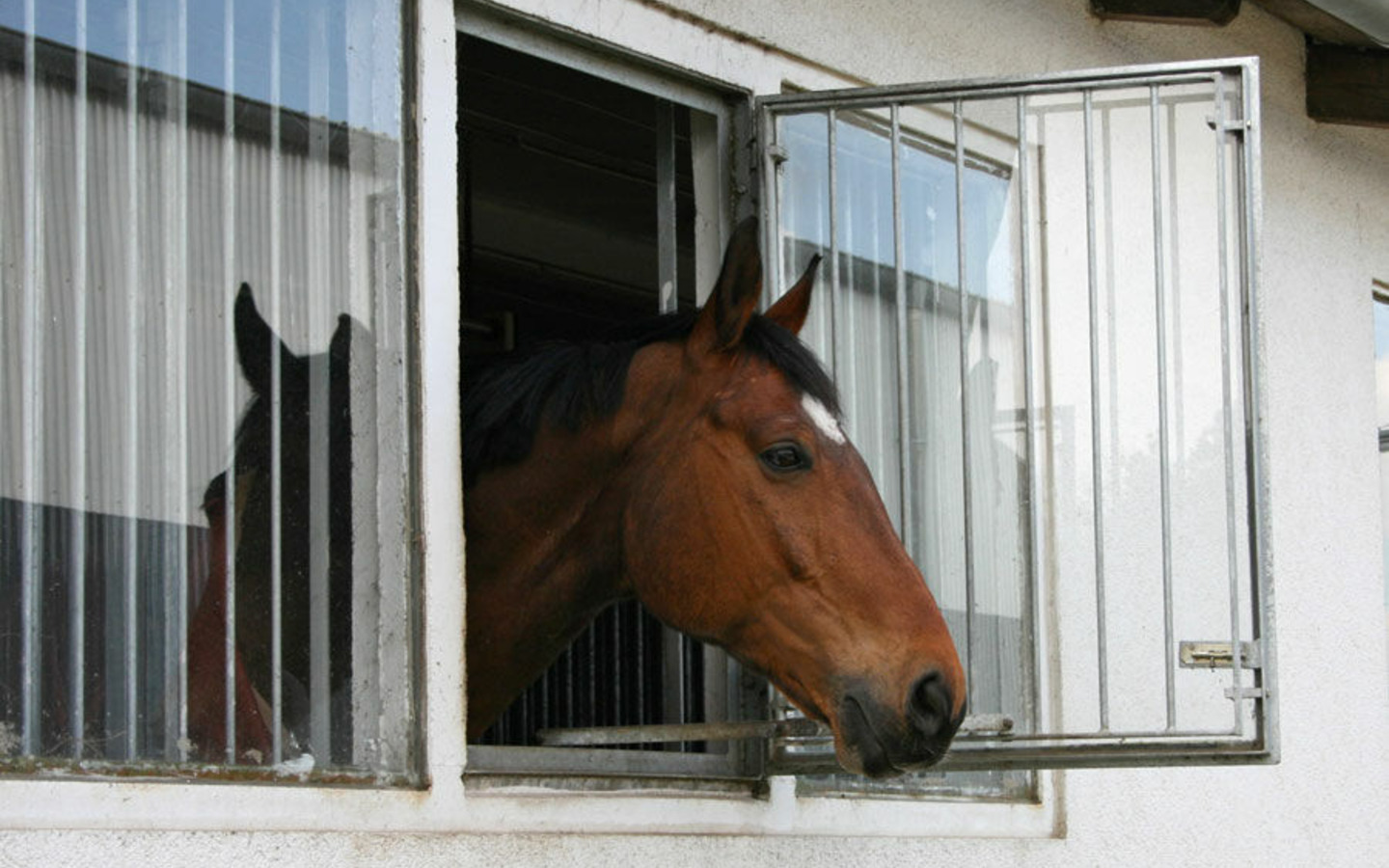 Reiterhof Spreewald, Foto: RTB GmbH & Co. KG, Lizenz: Amt Burg (Spreewald)