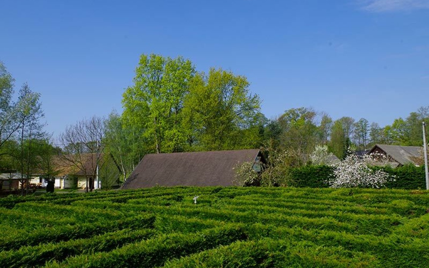 Irrgarten im Spreewaldhof Lukas, Foto: Spreewaldhof Lukas, Lizenz: Amt Burg (Spreewald)