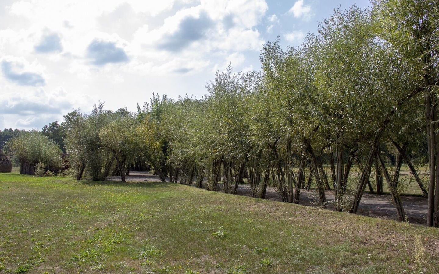Weidenburg Arena Salix, Burg (Spreewald), Foto: ScottyScout, Lizenz: Amt Burg (Spreewald)