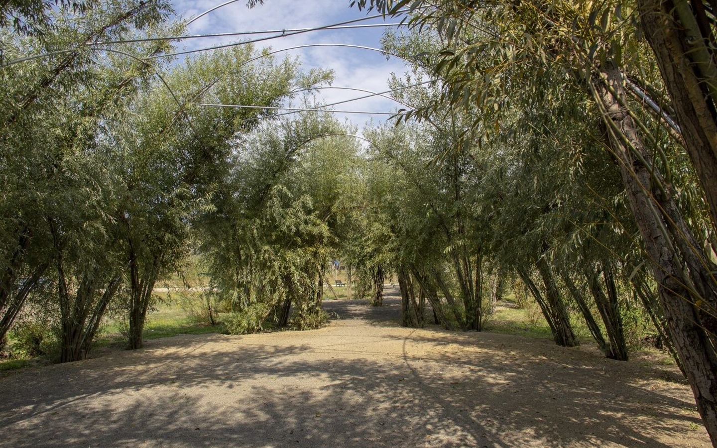 Weidenburg Arena Salix, Burg (Spreewald), Foto: ScottyScout, Lizenz: Amt Burg (Spreewald)