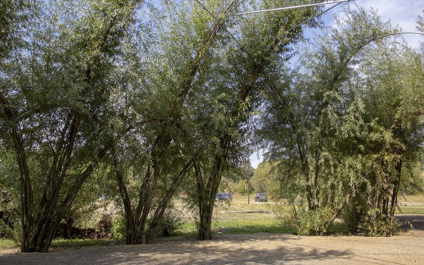 Weidenburg Arena Salix, Burg (Spreewald), Foto: ScottyScout, Lizenz: Amt Burg (Spreewald)