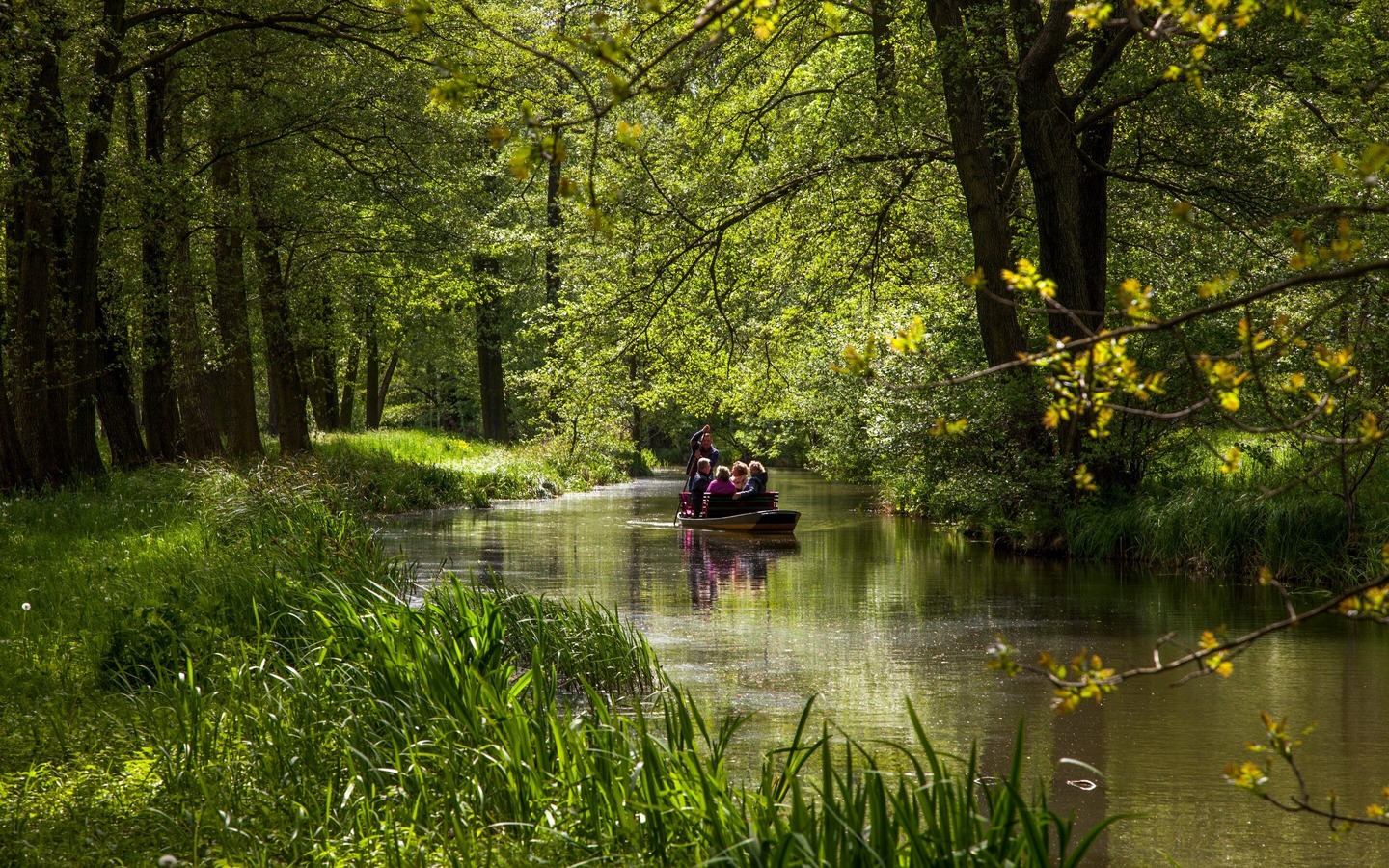 Spreewald, Foto: TMB-Fotoarchiv/Peter Becker, Lizenz: Amt Burg (Spreewald)
