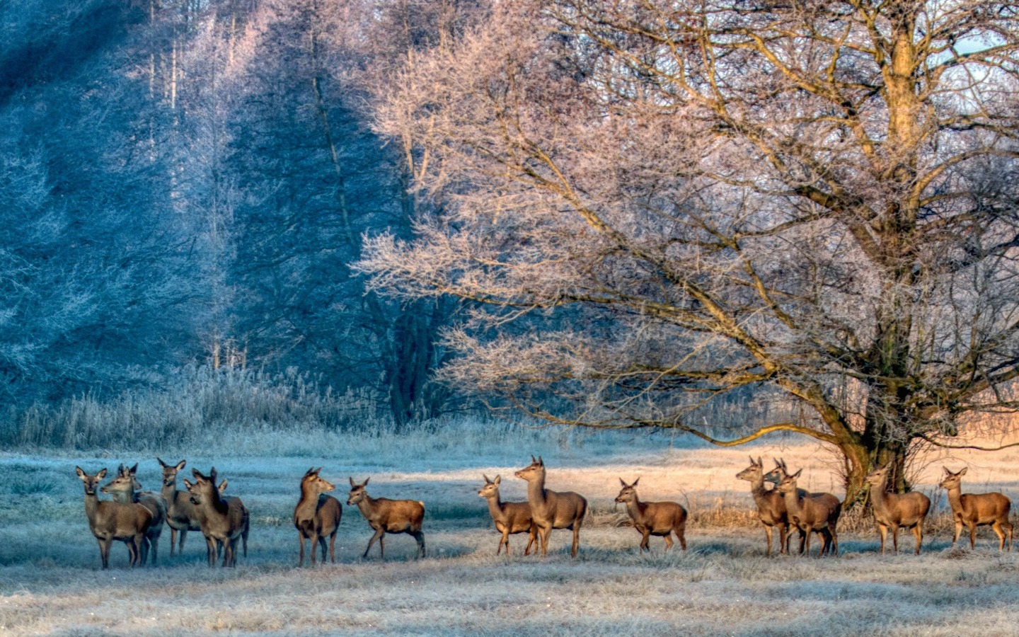 Wandertour im Winter, Foto: Peter Becker, Lizenz: Amt Burg (Spreewald)