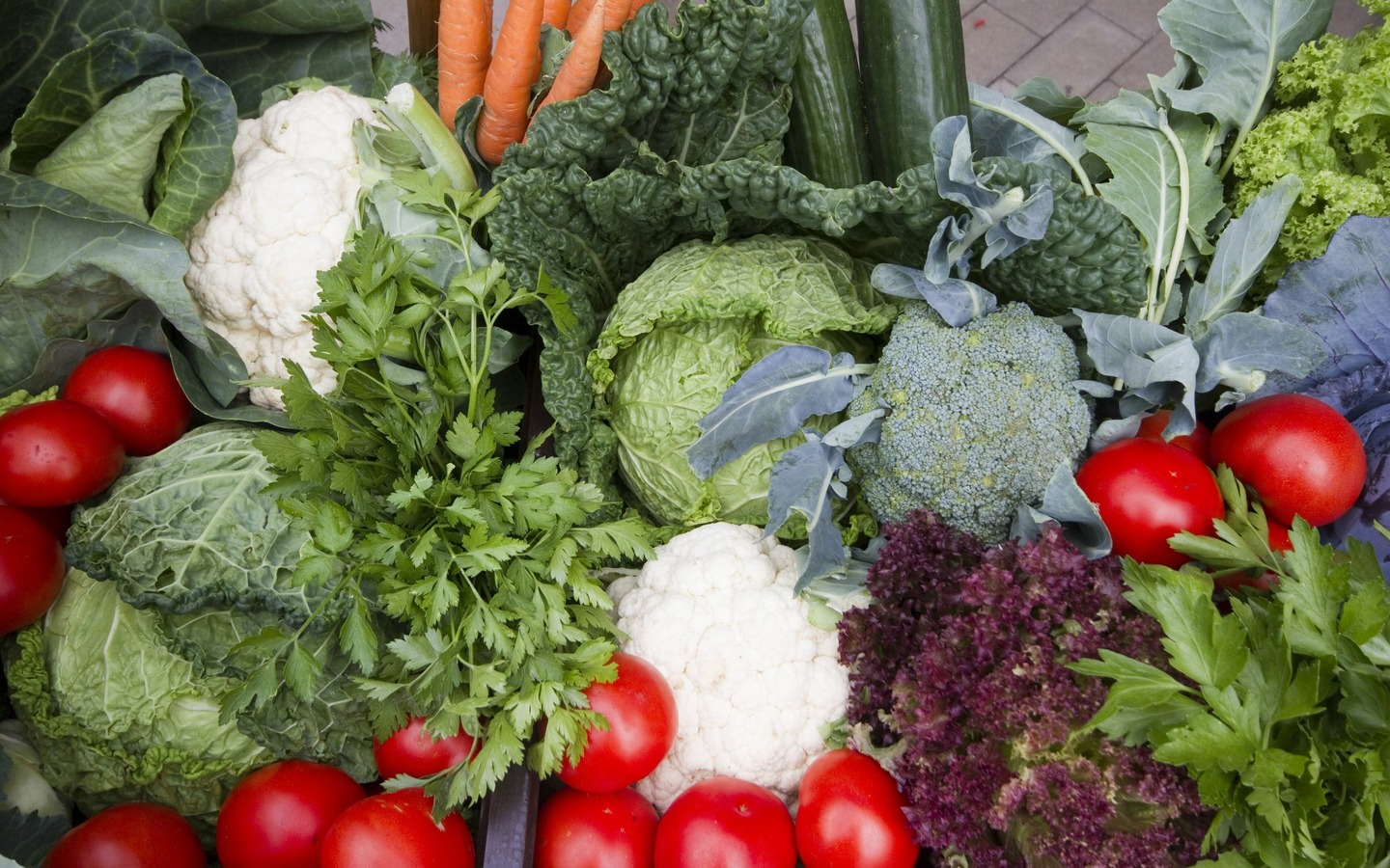 Gem&uuml;sebaubetrieb Kuprat in Burg (Spreewald), Foto: Peter Becker, Lizenz: Amt Burg (Spreewald)