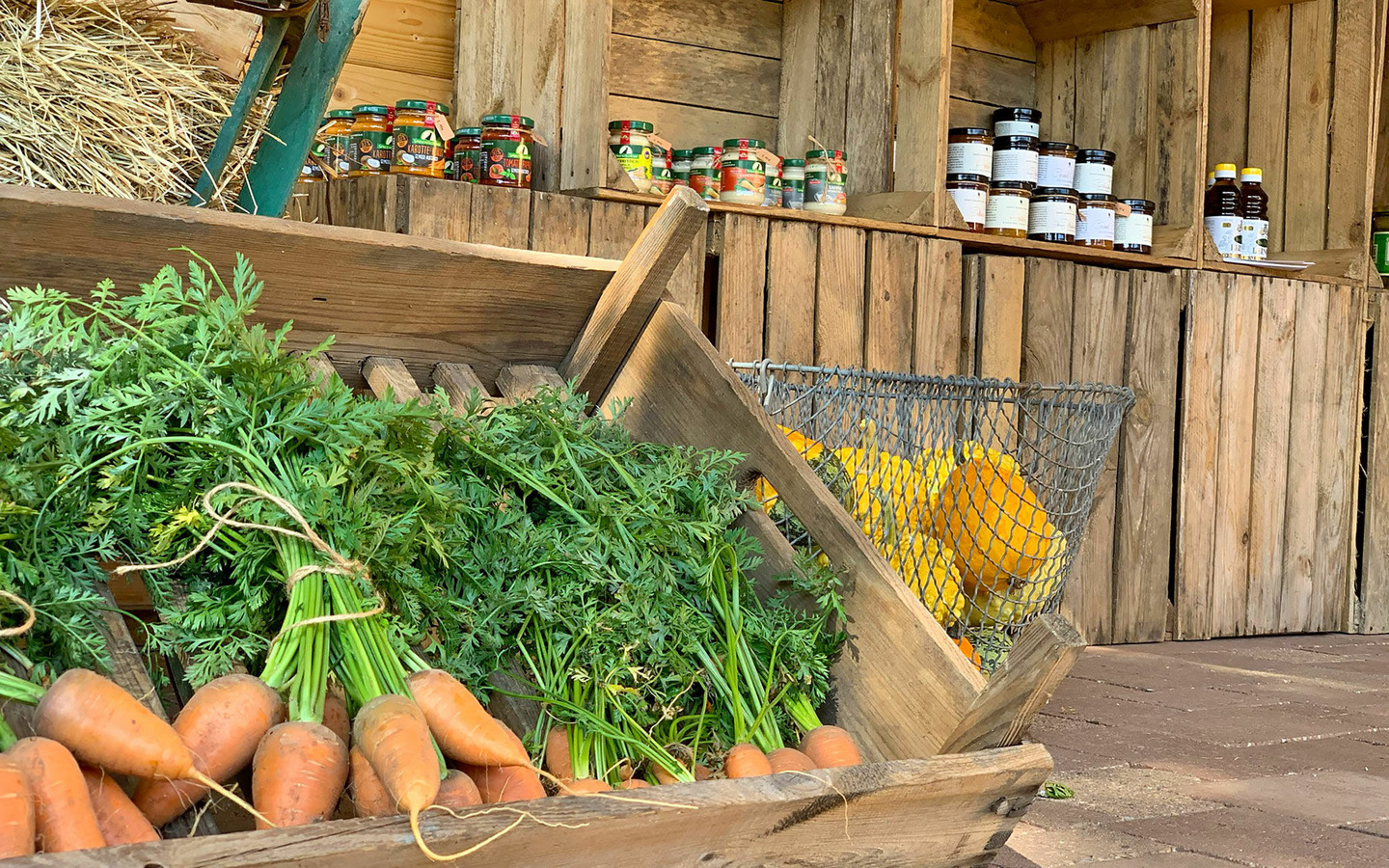 frisches Gem&uuml;se im Hofladen, Foto: Andr&eacute; Friedrich, Lizenz: Andr&eacute; Friedrich