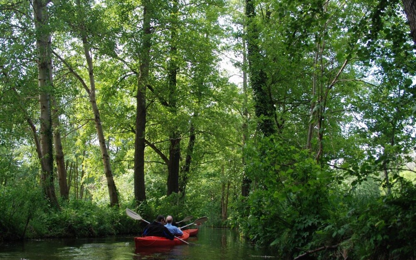 Paddelentdeckertour, Foto: Kleiner Spreewaldhafen, Lizenz: Amt Burg (Spreewald)