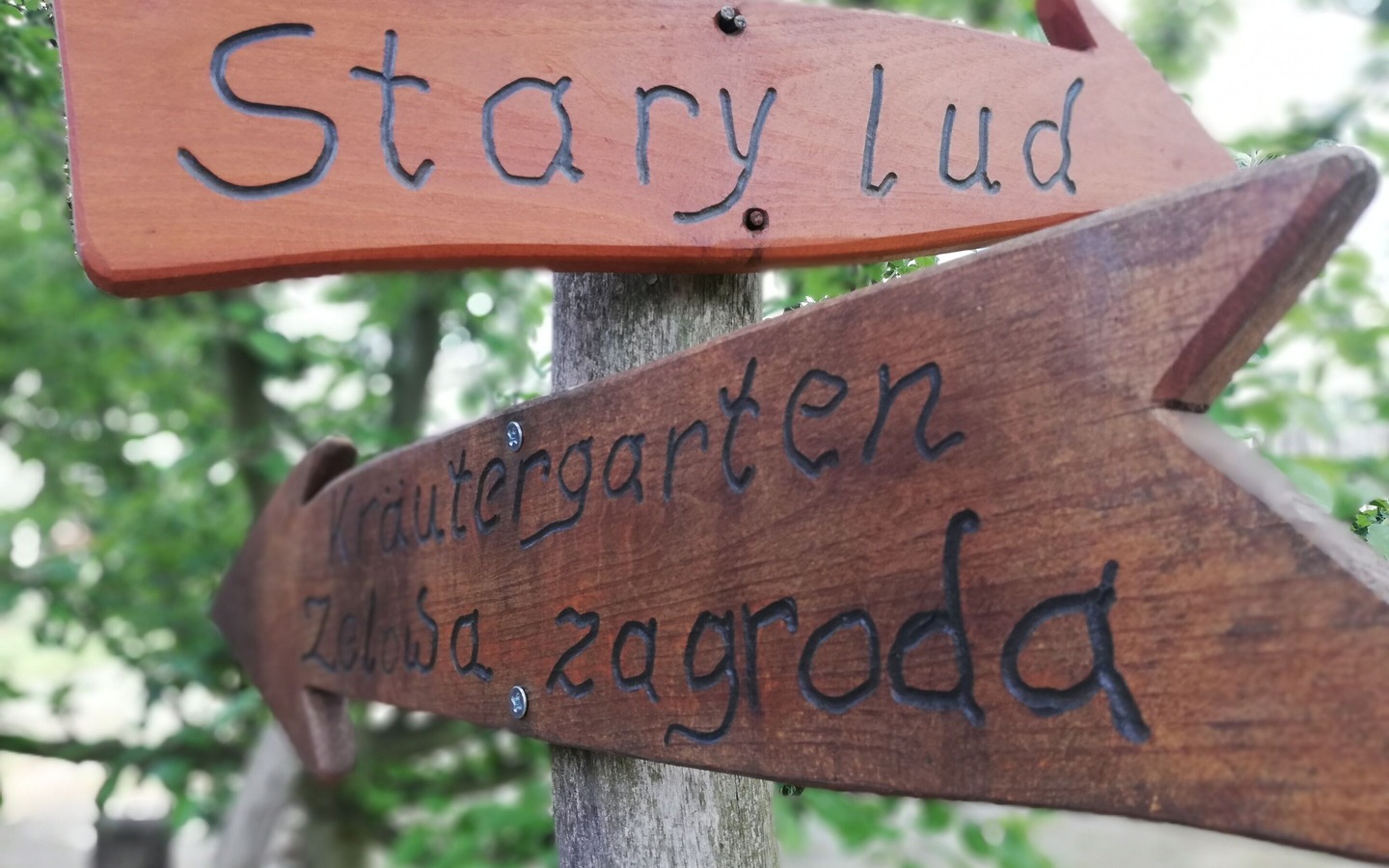 Stary lud, Foto: Kerstin M&ouml;bes, Lizenz: Amt Burg (Spreewald)