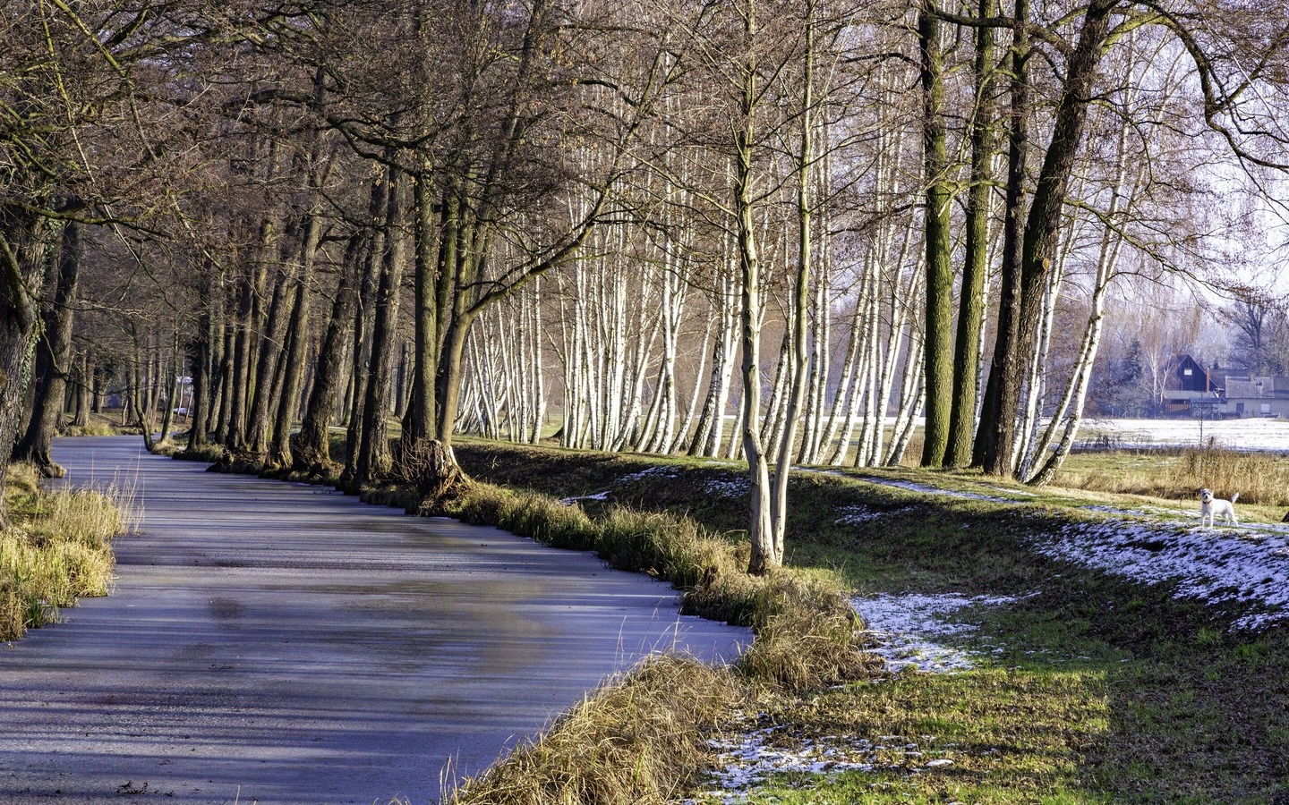 Spreewaldflie&szlig; im Winter, Foto: Peter Becker, Lizenz: Amt Burg (Spreewald)