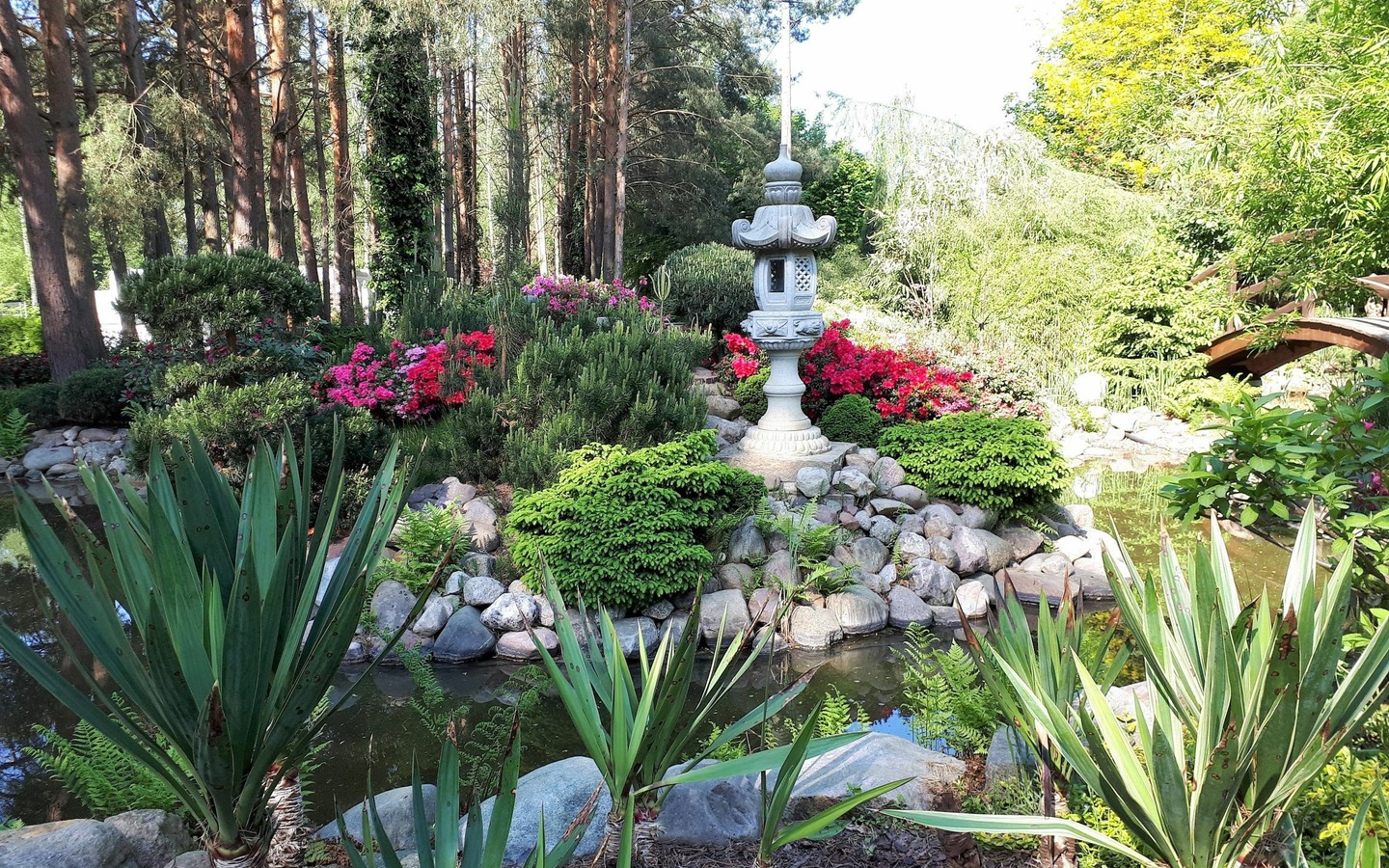 Koigarten Willischza, Foto: Koigarten, Lizenz: Amt Burg (Spreewald)