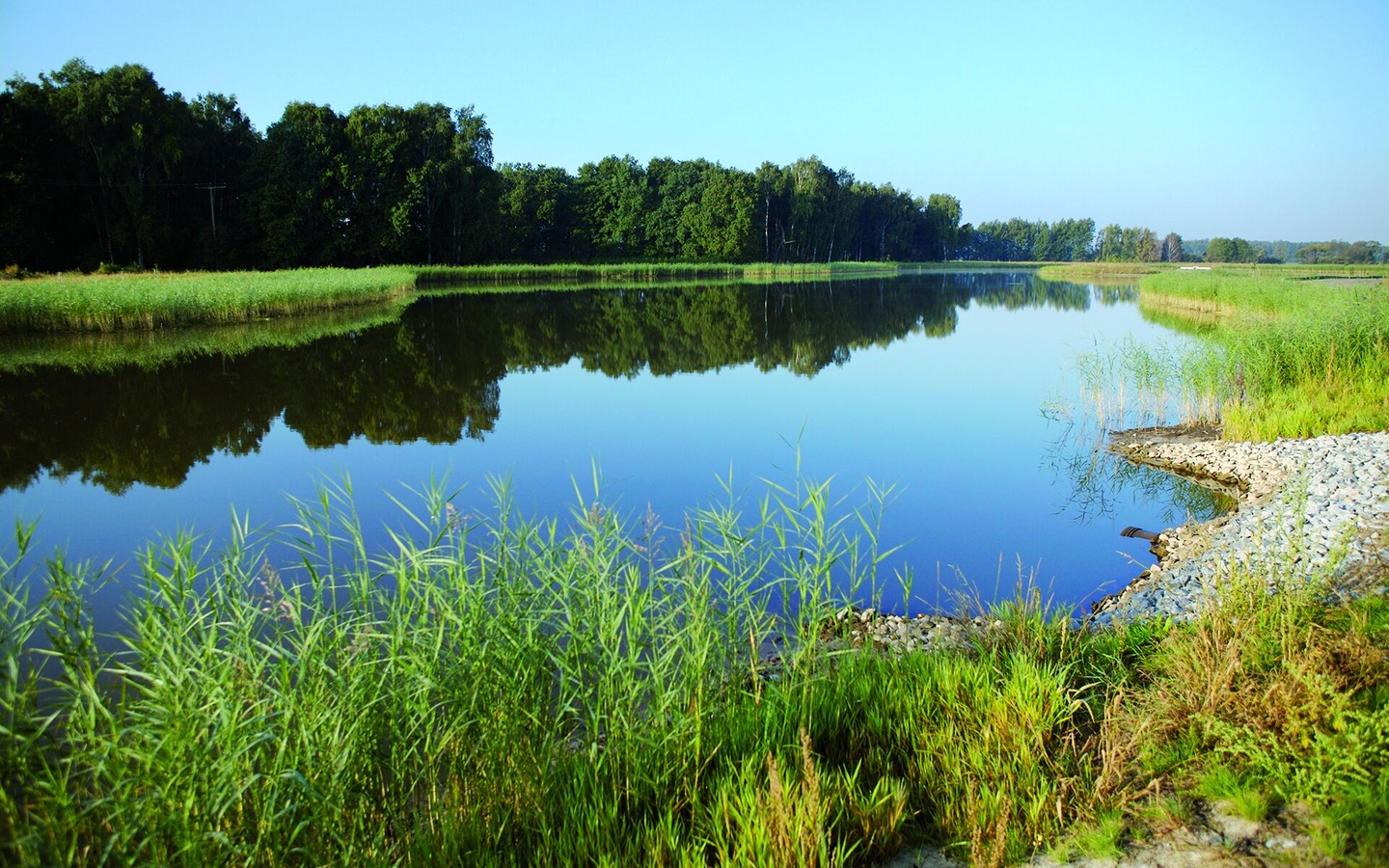 Spreeaue bei Dissen, Foto: Amt Burg (Spreewald), Lizenz: Amt Burg (Spreewald)