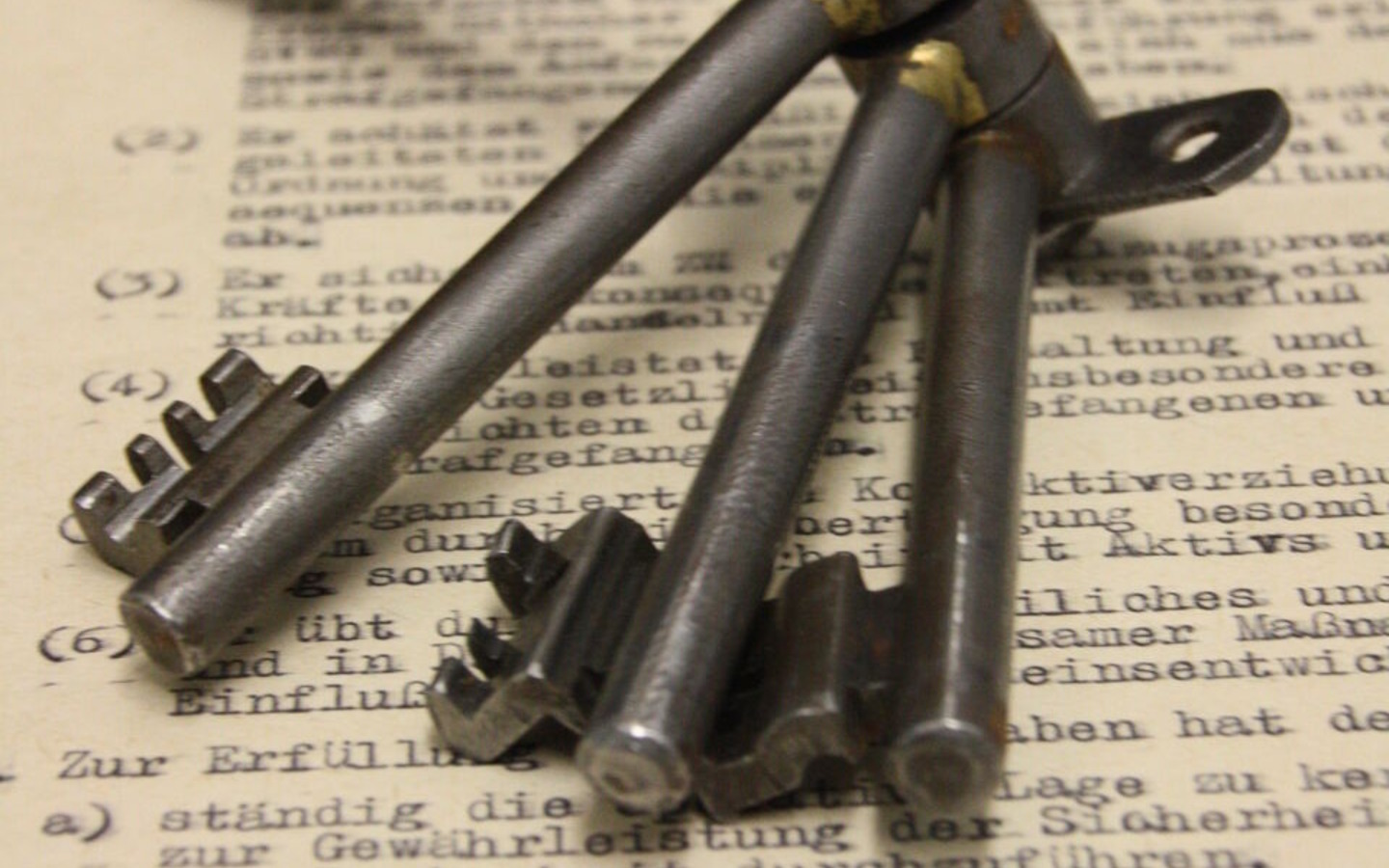 Menschenrechtszentrum Cottbus, Foto: Menschenrechtszentrum Cottbus e.V., Lizenz: Menschenrechtszentrum Cottbus e.V.