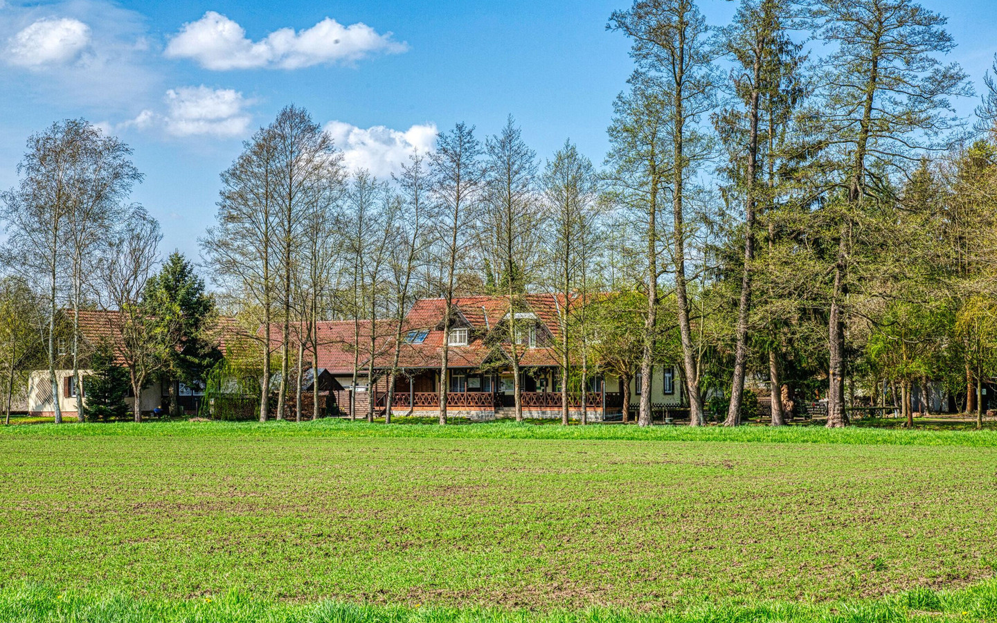 Erlk&ouml;nig vom Feld aus gesehen