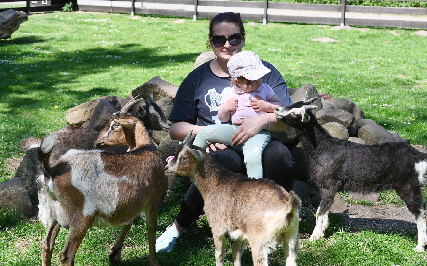 Streichelzoo, Foto: Gloede, Lizenz: Amt Burg (Spreewald)