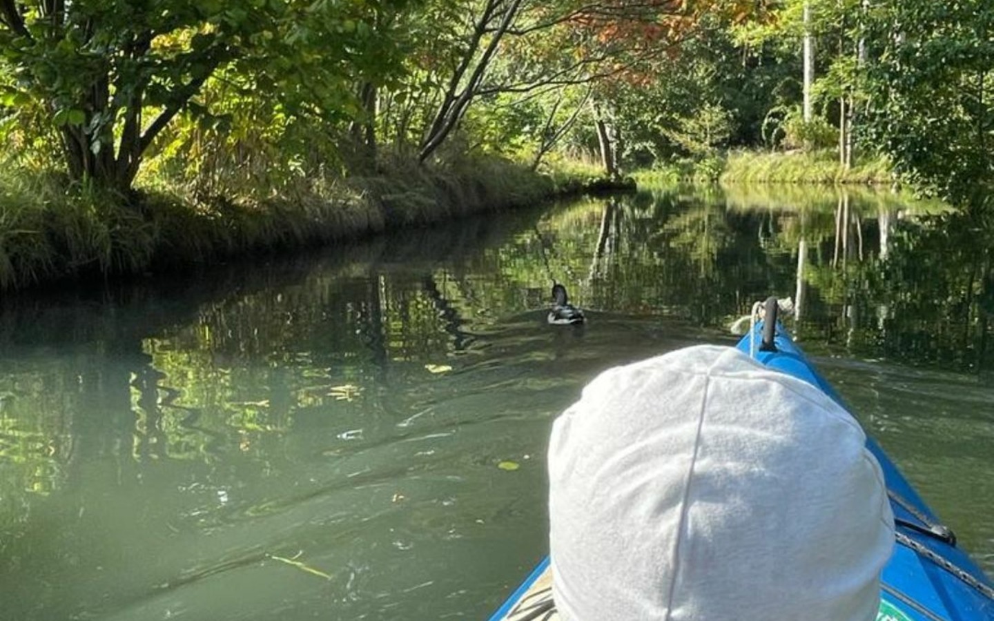 Paddelboot auf der Spree 2, Foto: Schimmank, Lizenz: Schimmank GbR