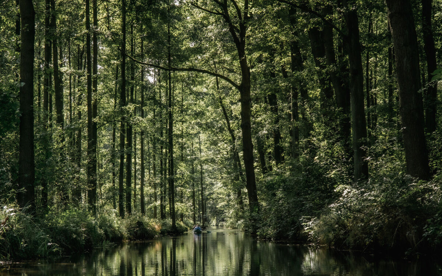 Wald, Foto: Waldhotel Eiche, Lizenz: Waldhotel Eiche