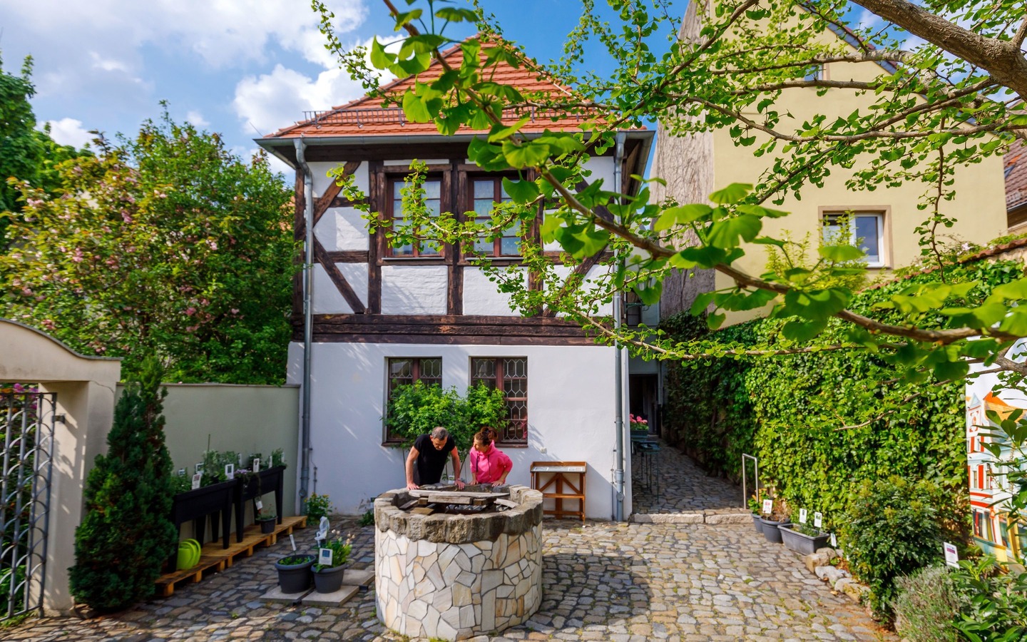 Brandenburgisches Apothekenmuseum in der L&ouml;wen-Apotheke Cottbus, Foto: Andreas Franke, Lizenz: CMT Cottbus