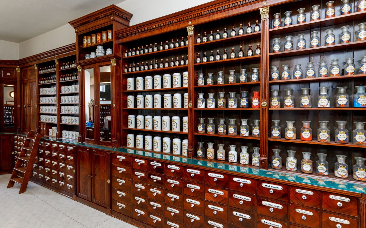 Brandenburgisches Apothekenmuseum in der L&ouml;wen-Apotheke Cottbus, Foto: Andreas Franke, Lizenz: CMT Cottbus