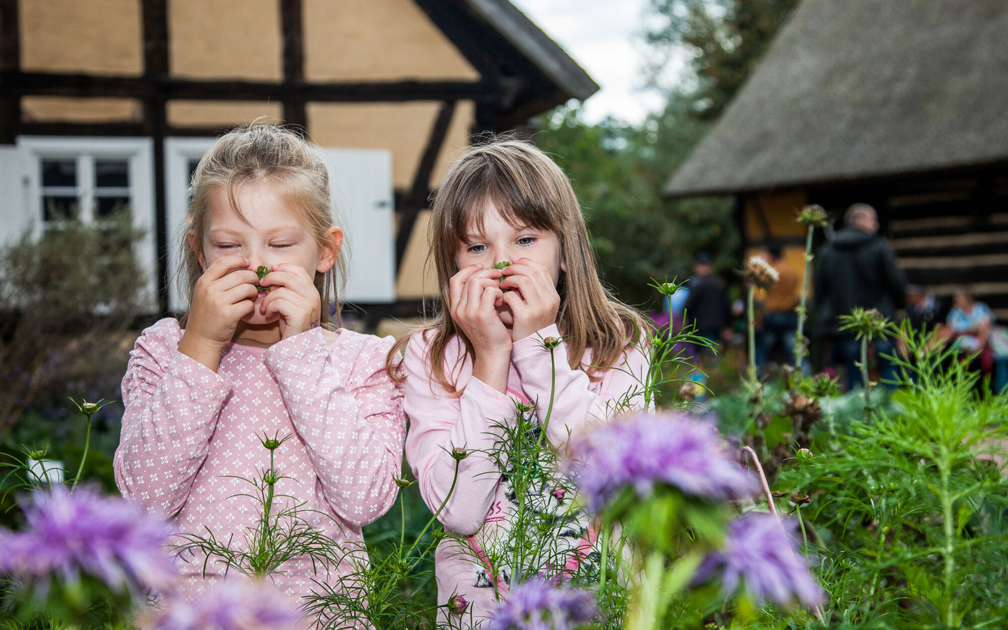 Freilandmuseum Lehde_Bauerngarten Foto: Peter Becker, Foto: Peter Becker, Lizenz: Museum OSL