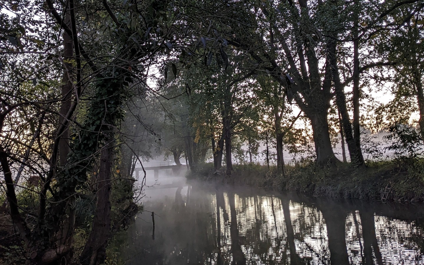 Spreewald im Nebel, Foto: Steffen Emmerling, Lizenz: Wilde Wiese
