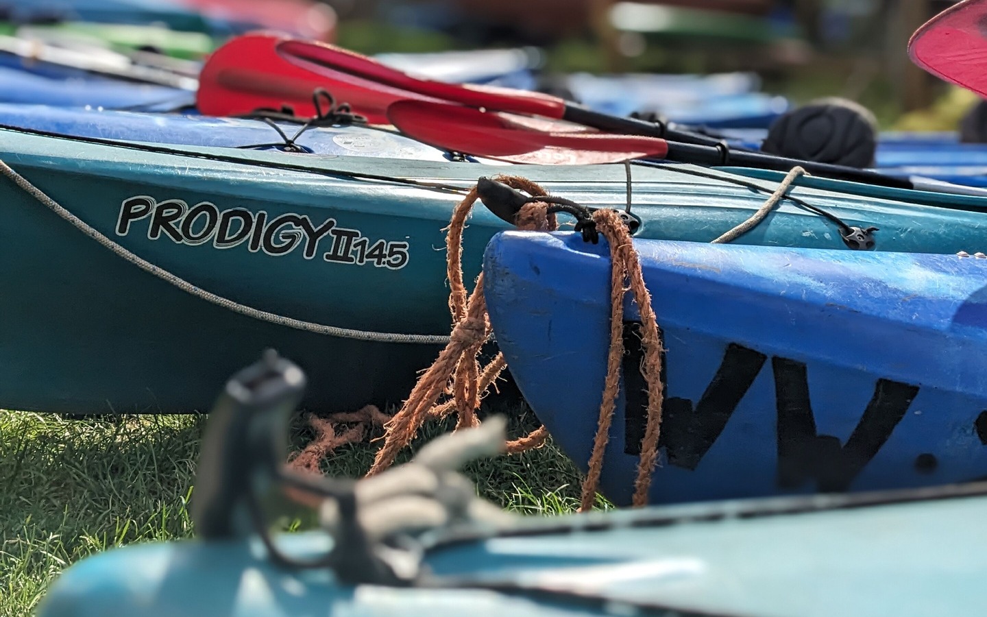 Bootsverleih Wilde Wiese, Foto: Steffen Emmerling, Lizenz: Wilde Wiese