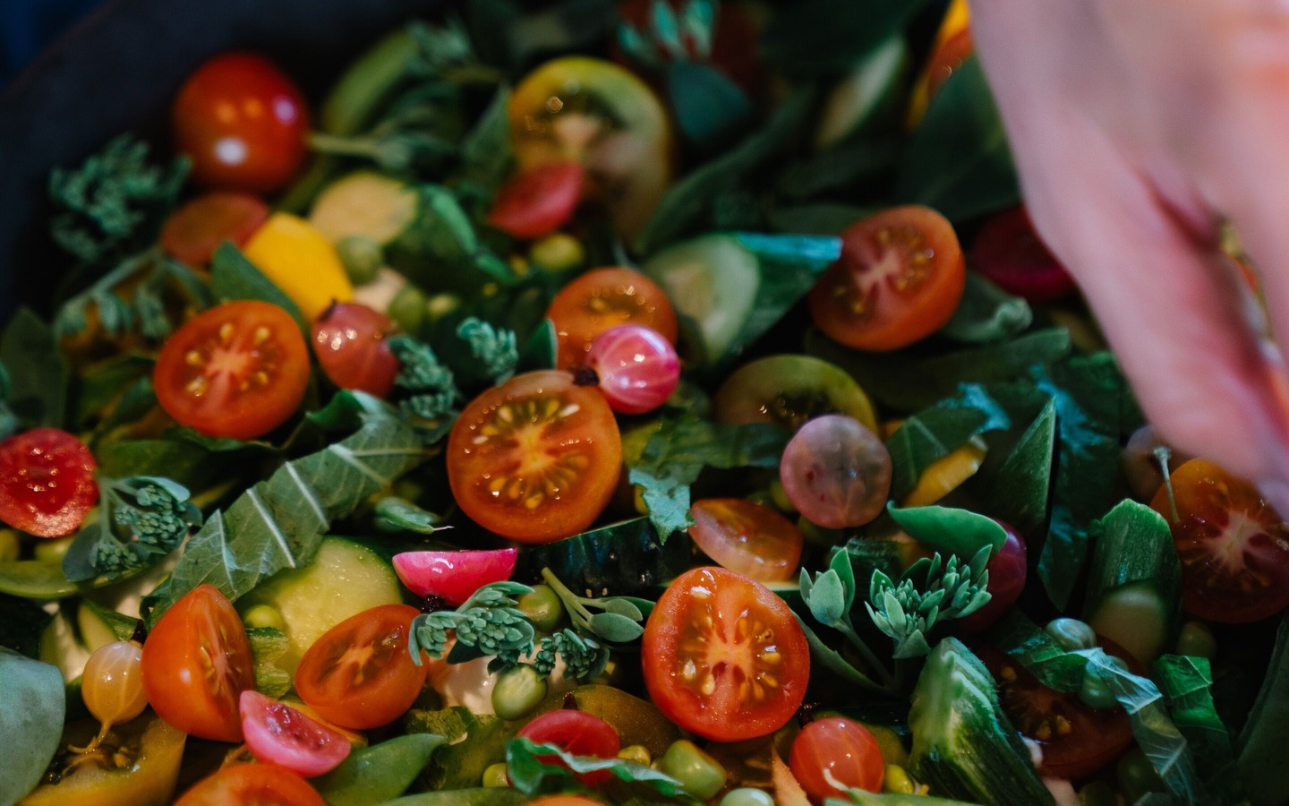 Aus dem Nahrungswald, Foto: Tobias K&ouml;nig, Lizenz: Michelberger Farm
