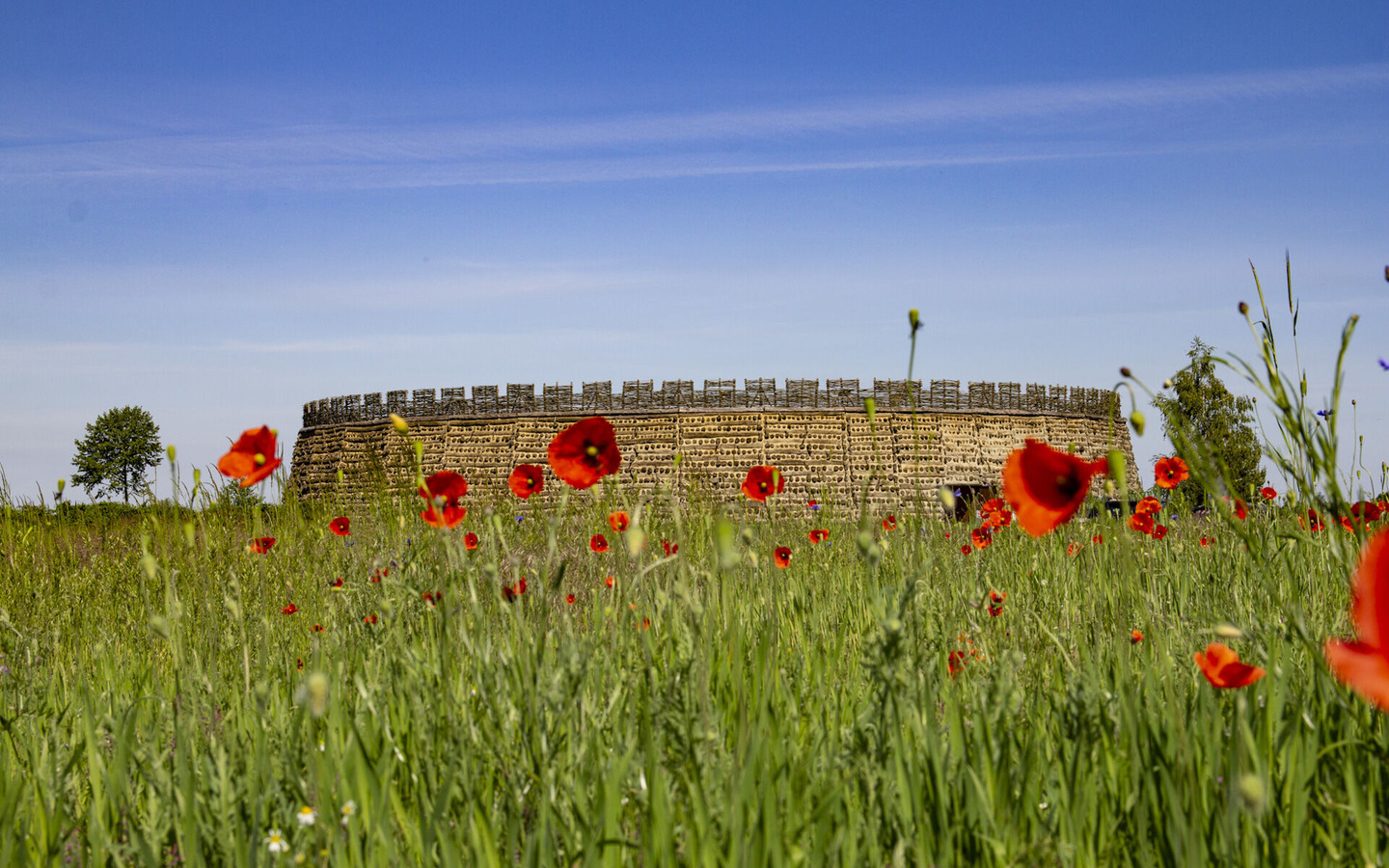 Die Slawenburg Raddusch im Mohnbl&uuml;tenmeer, Foto: &Ouml; Grafik_sk, Foto: &Ouml; Grafik_sk